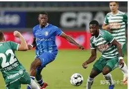 帕洛切维奇,宣布加盟南,通支云,新葡京,新葡京app,新葡京娱乐,新普京赌场